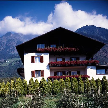 Pfoestlhof Bed and Breakfast Parcines Εξωτερικό φωτογραφία