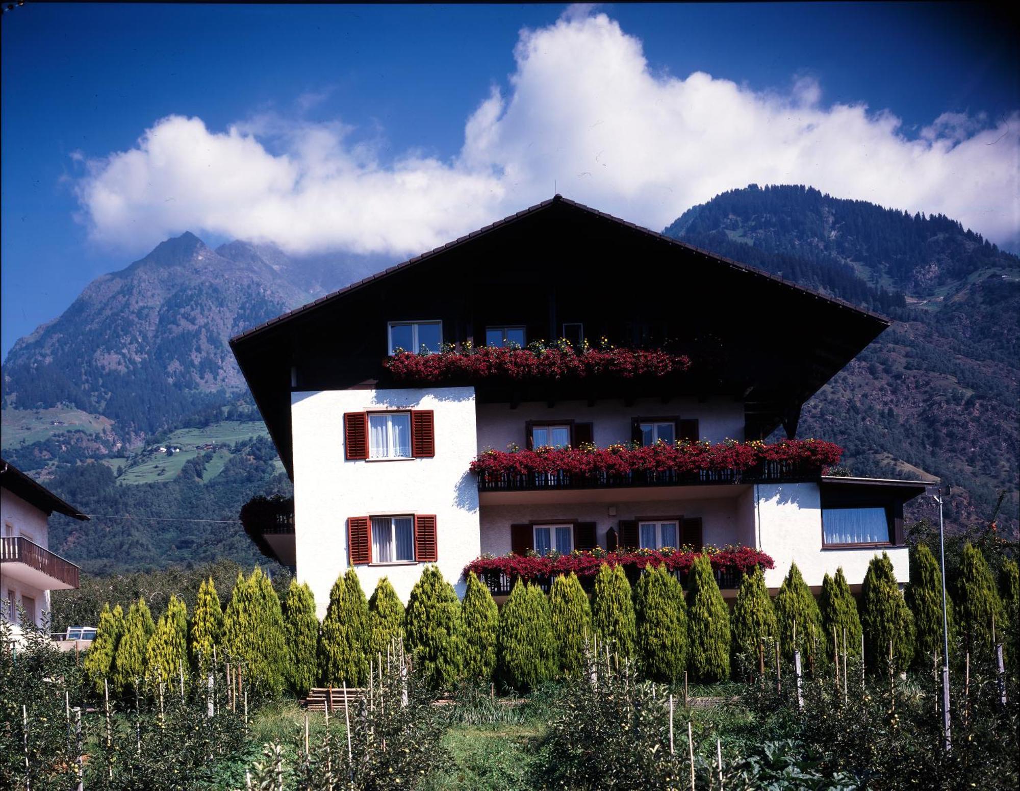 Pfoestlhof Bed and Breakfast Parcines Εξωτερικό φωτογραφία